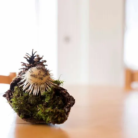 Residence-hotel Cimbro * Mezzaselva (Vicenza)